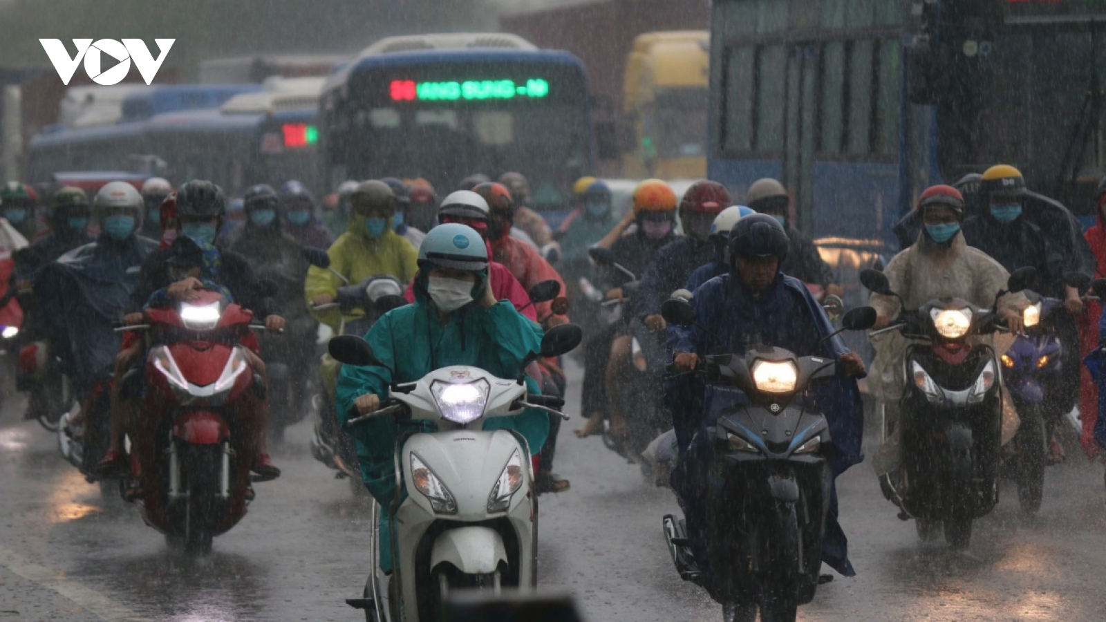 Torrential rain disrupts daily life in HCM City